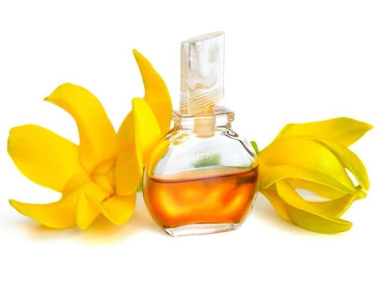 Did You Know Ylang Ylang Oil Not Only Soothes Your Skin But Your Mind As Well?