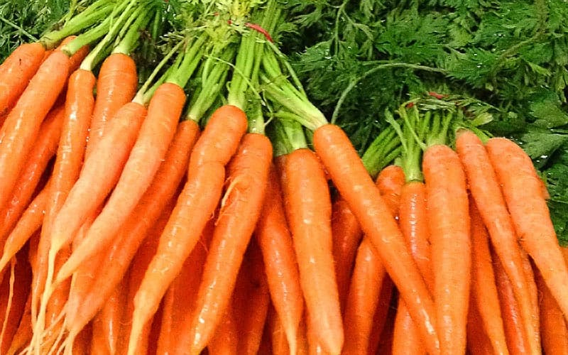 carrots