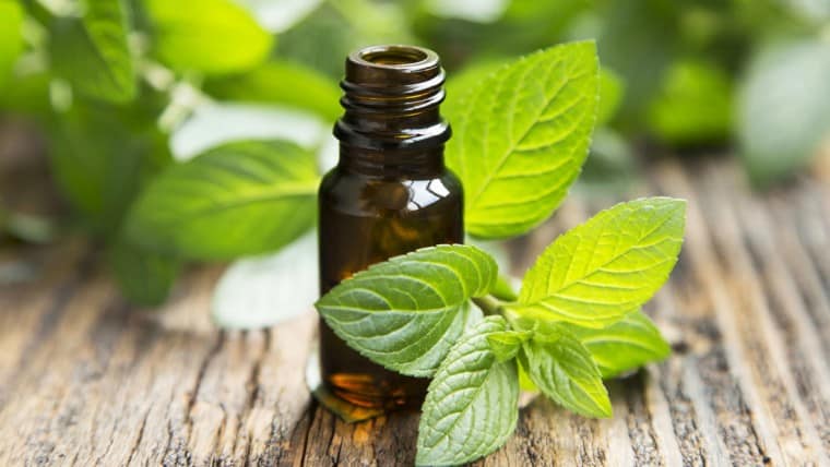 peppermint oil