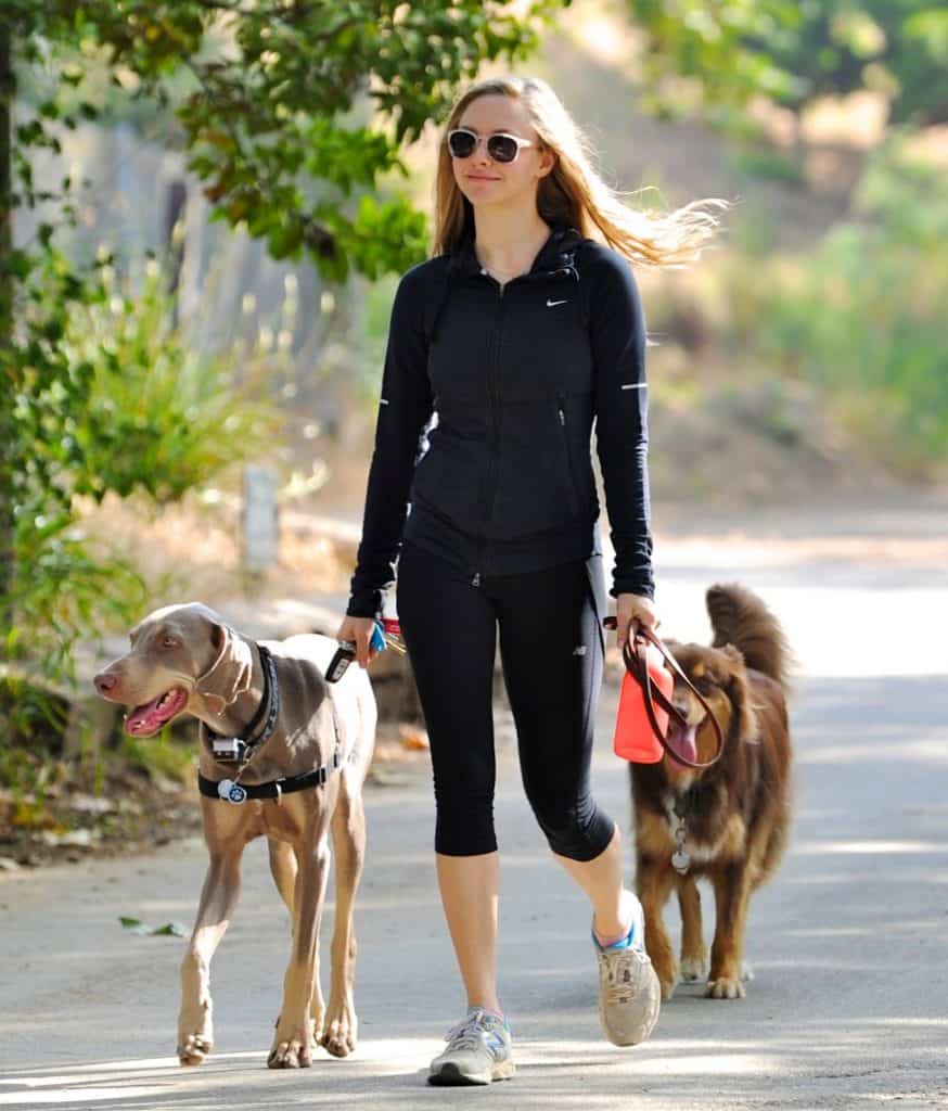 Amanda Seyfried walking with dogs