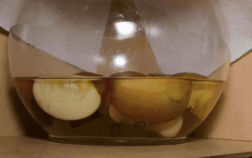 apples in jar