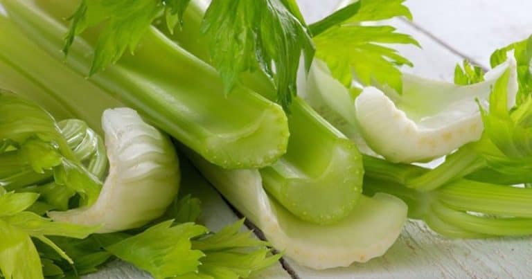 4 Ways Eating Celery Can Help Destroy Cancer Cells