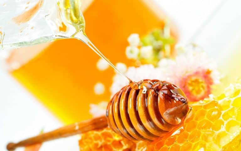 The Many Health Uses of Eucalyptus Honey