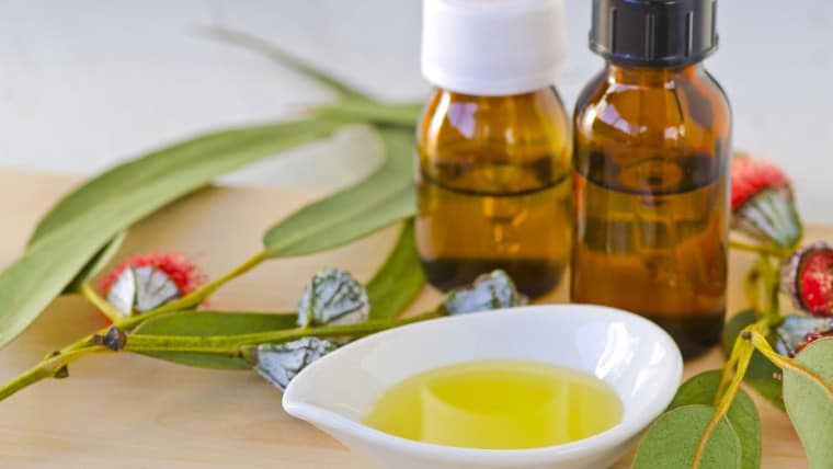 Eucalyptus Oil