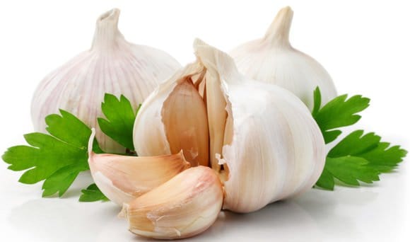 garlic