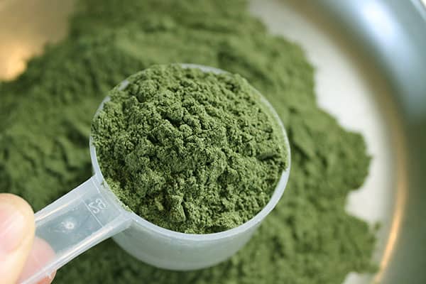 What to Look For When Choosing a Greens Powder