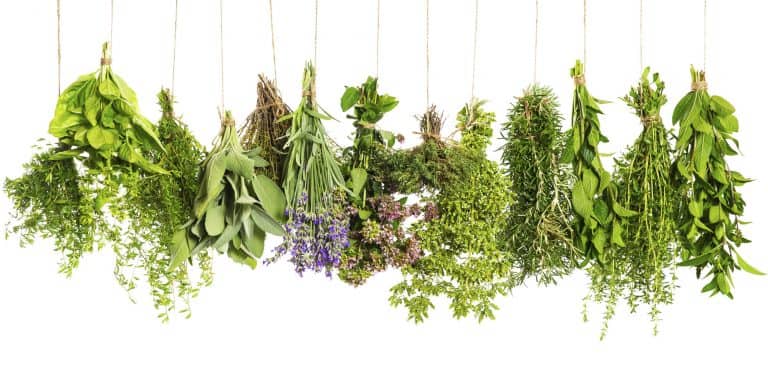 12 Healthy Herbal Remedies For Home