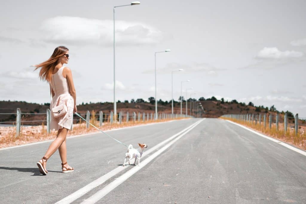 a woman taking a walk with her dog