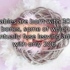 a baby in the nest