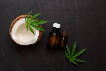 coconut oil and cannabis
