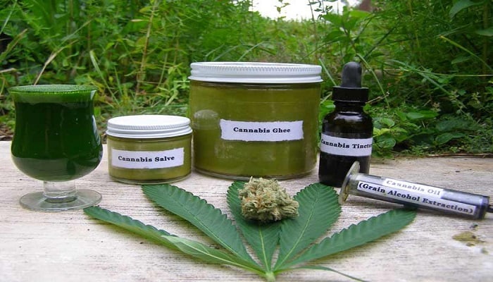 cannabis plant and cannabis oils