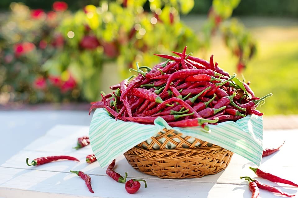 a basket of chilies