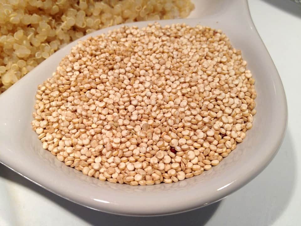 a plateful of quinoa grains and quinoa rice