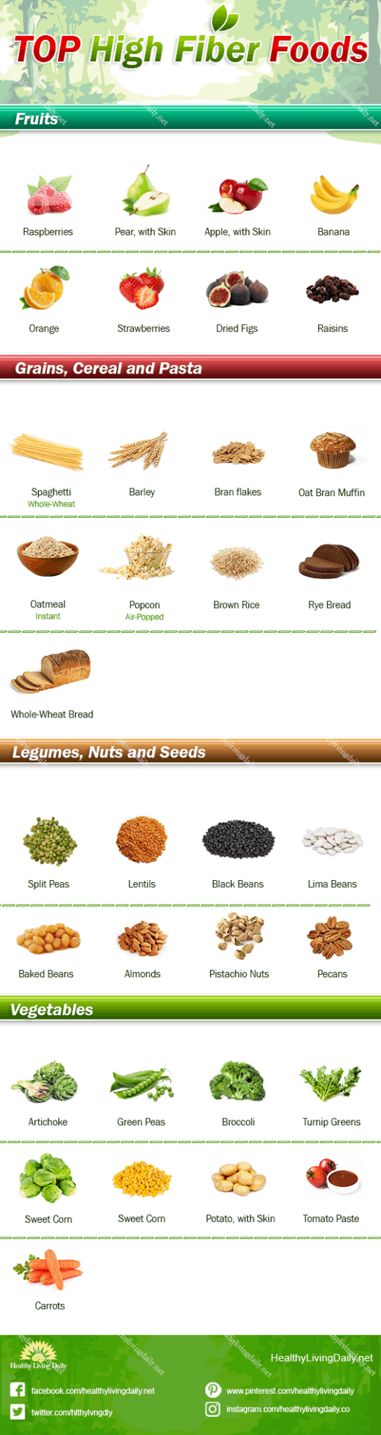 Top High Fiber Foods That Are Good For Your Body Infographic - Healthy ...