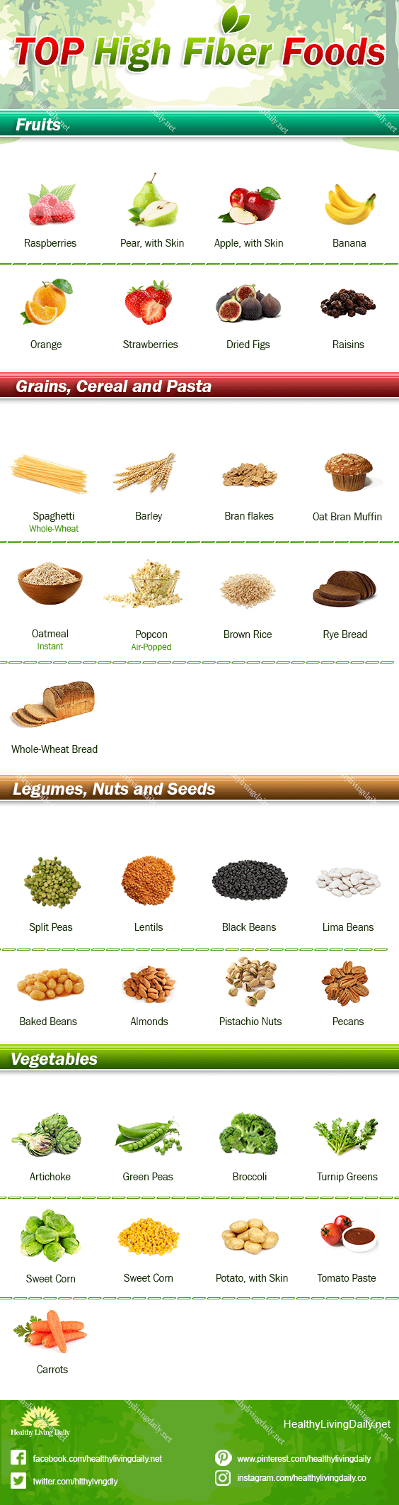 Infographic image for top high fiber foods