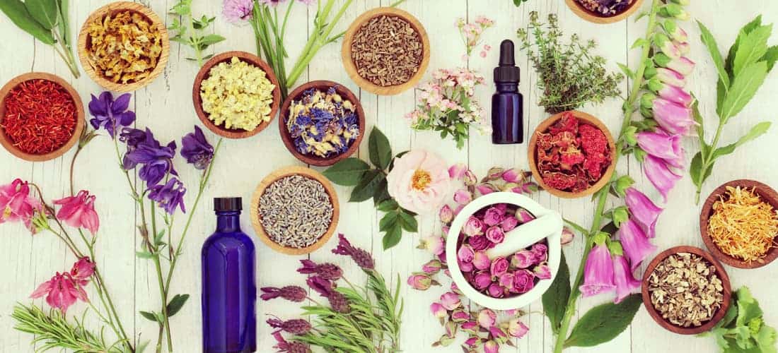 Aromatherapy Healing Benefits for Cancer Patients Healthy Living Daily