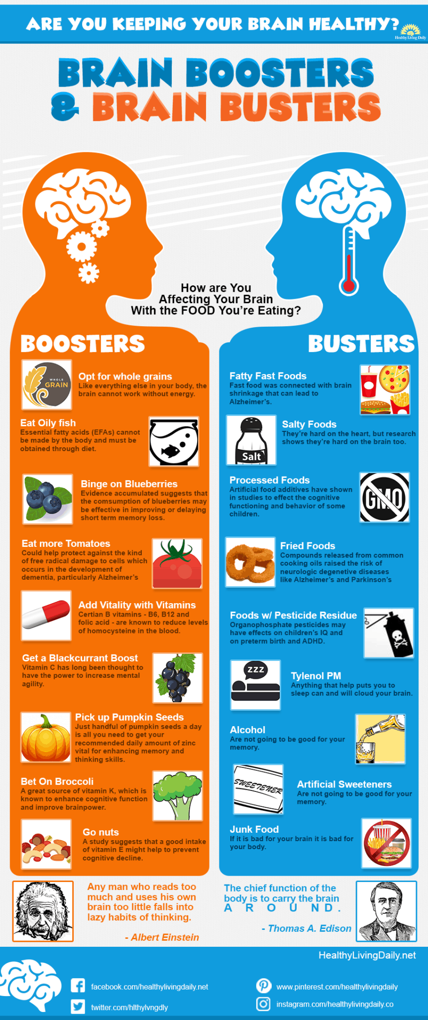 How Are Foods Affecting Your Brain Infographic