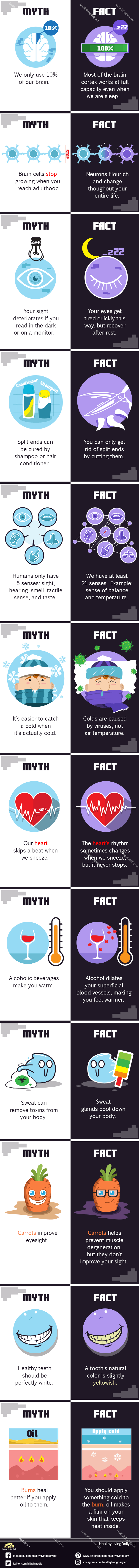 infographic image of myth and fact