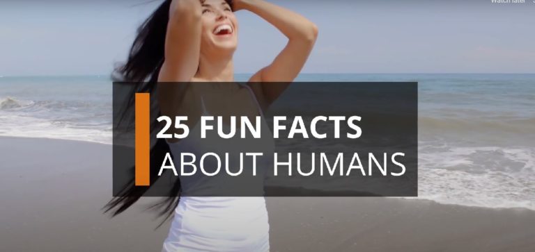 25 Fun Facts About Humans