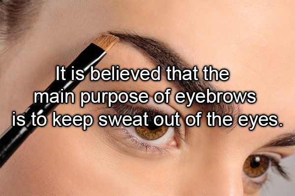 woman applying eye makeup