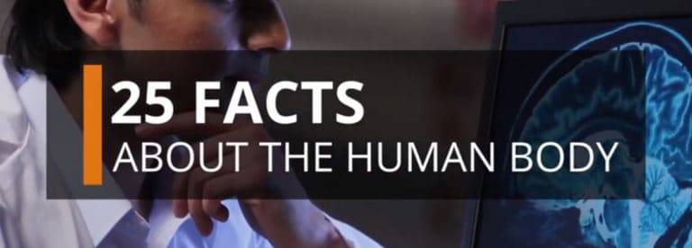 25 Facts About The Human Body