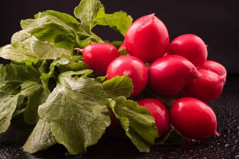 Little Known Health Benefits of Radishes