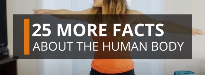 Facts about human body