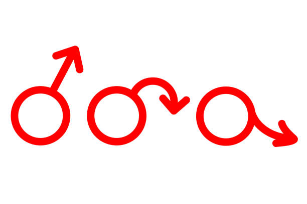 Erectile dysfunction, prostatitis. Male mars symbol. Impotence, flaccid soft penis. Infertility, pills for potency. Stock vector illustration isolated on white background.