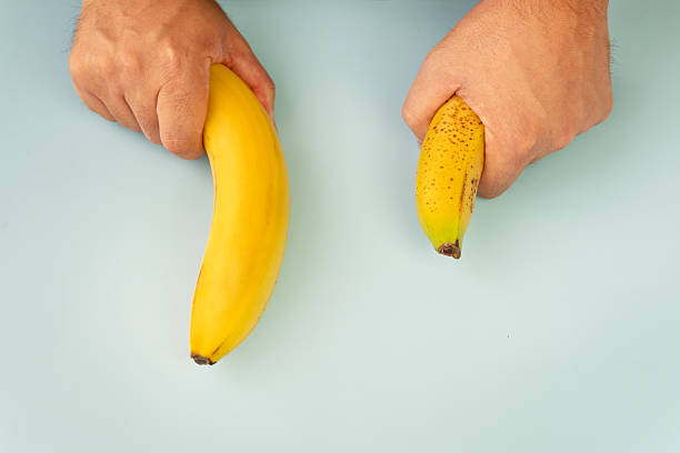 Small Banana compare size wish banana on blue background. Sexual life libido, penis size and potency concept.