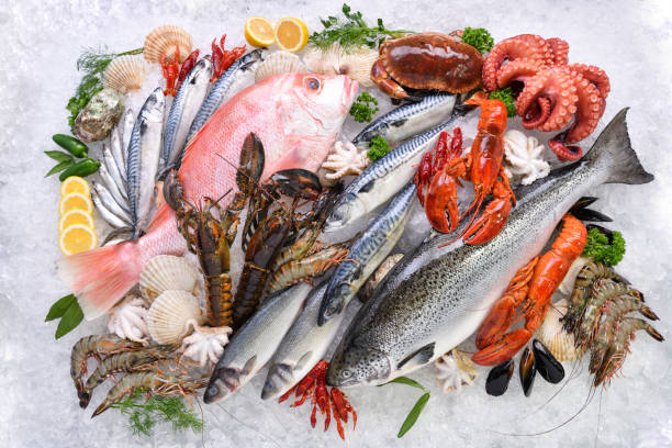 Seafood-001 Top view of variety of fresh fish and seafood on ice